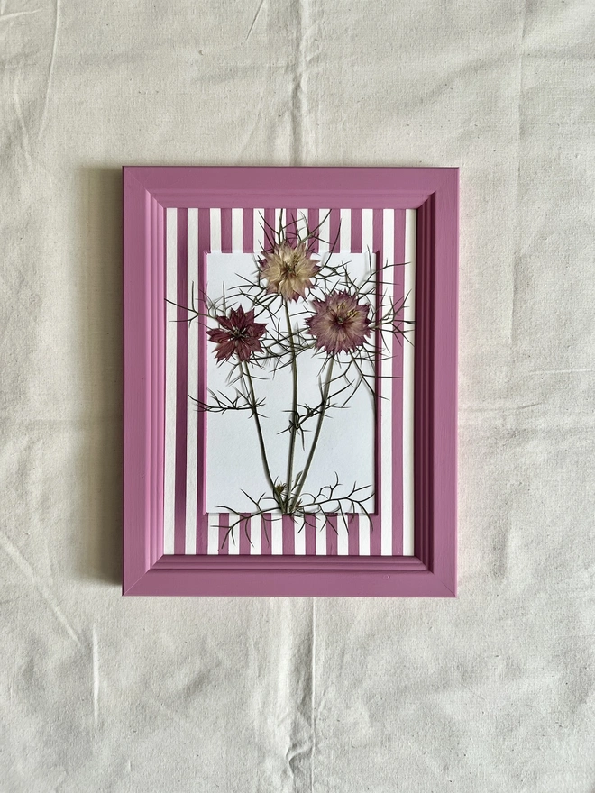 pressed nigella 'love in a mist' flowers in hand painted pink frame