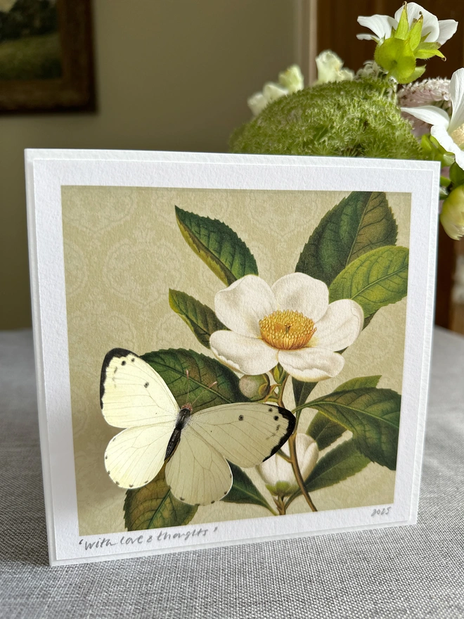 Photo of the butterflygram card featuring a white magnolia flower on a cream background with a 3D white butterfly in the left foreground. The card has a hand written personalised message in the left corner and is hand signed on the right.