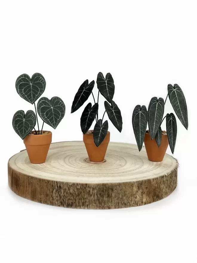 A miniature replica Alocasia Frydek ornament made from paper in a terracotta pot sitting on a wooden log slice with another paper plant each side (a Queen Anthurium and a Anthurium Clarinervium)