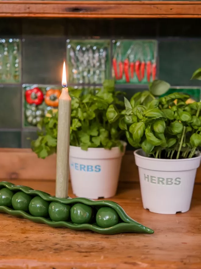 Giant Pea Candlestick Holder