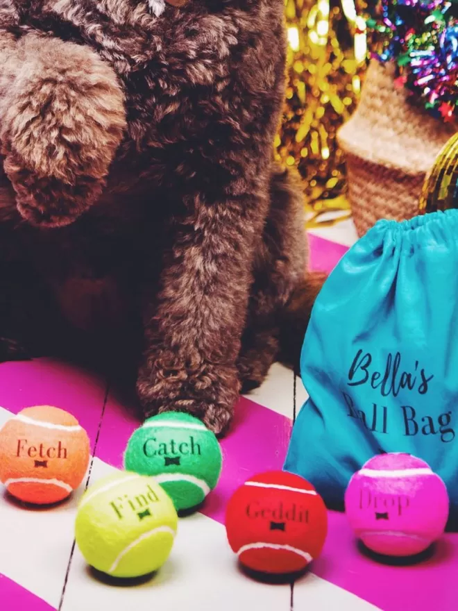 The Ball Bag | Dog Tennis Ball Set with Personalised Bag