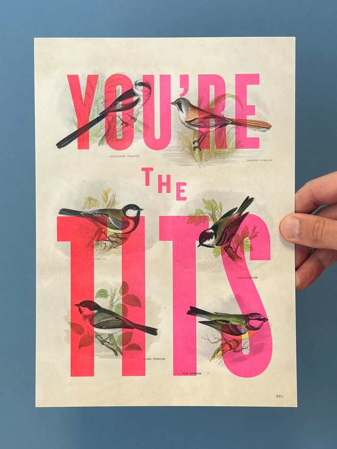 hand holding an A4 screen print with a vintage paper look and 6 vintage illustrations of birds from the Tit family. Typography over the top says 'you're the tits' in flouro pink gradient