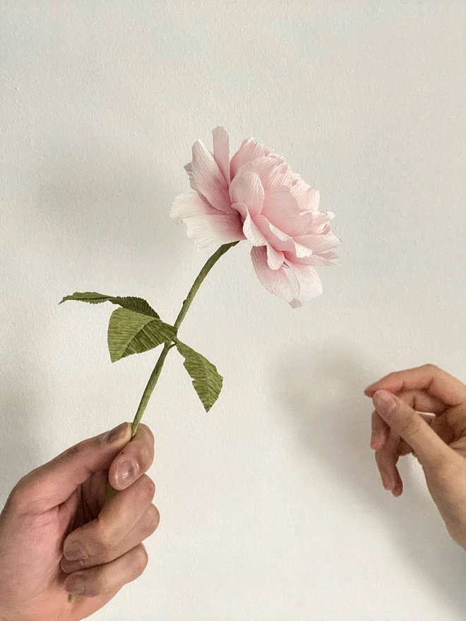Crepe Paper English Rose Scepter'd Isle Flower DIY Kit