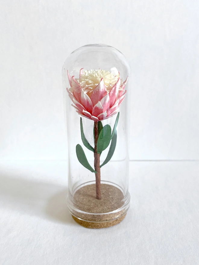 Handmade Mini King Protea Dome