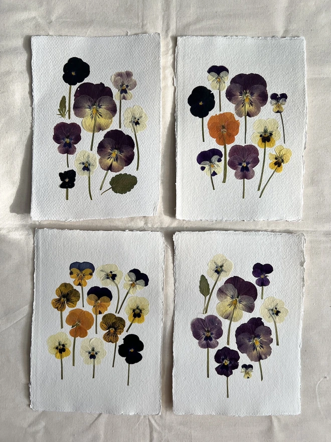 four different artworks with pressed pansy flowers 