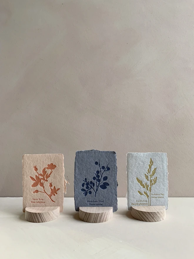 botanical mini prints with wooden stand