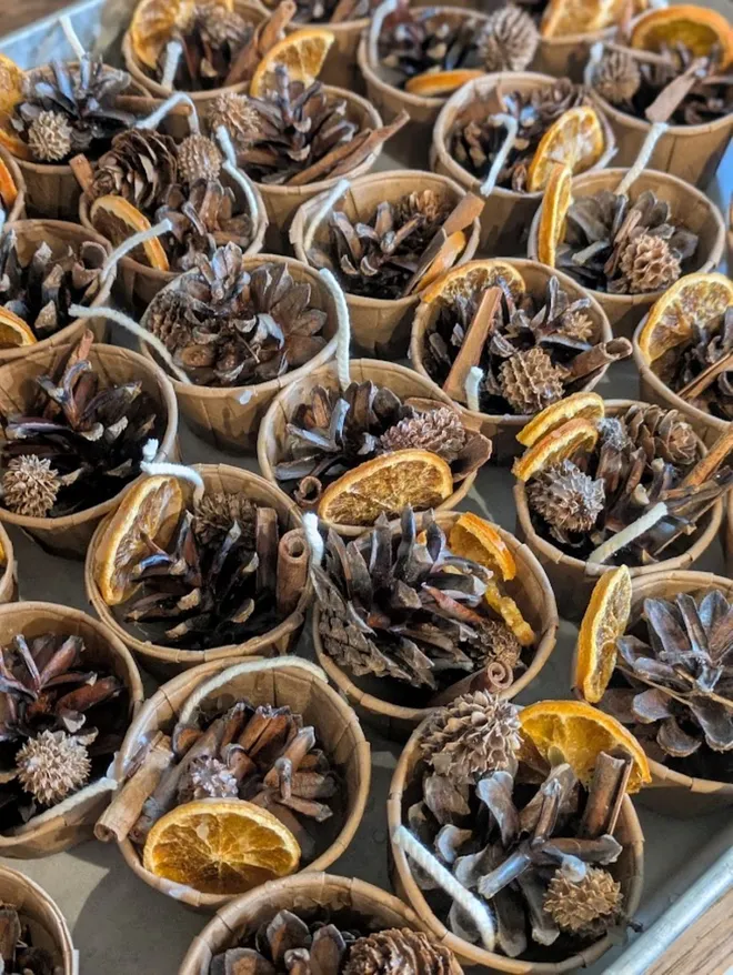 tray of pine cone fire starters in tray with dog in background