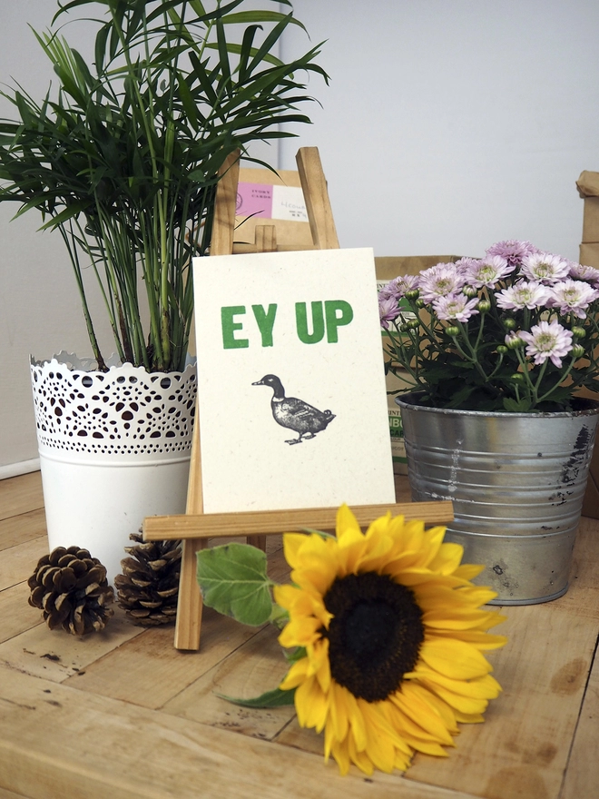 Ey Up Duck - Letterpress Greetings Card