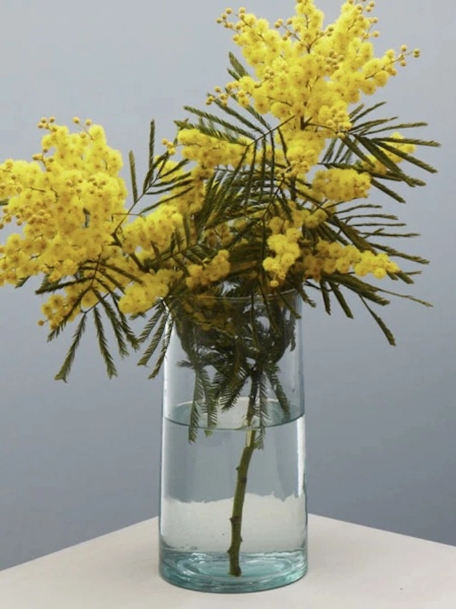 Glass Carafe, a large glass jug sitting on a plain counter top against a baby blue backdrop. It is filled by a collection of yellow flowers. 