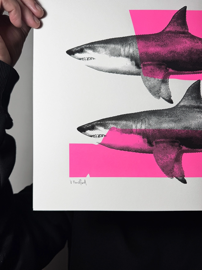 Shark Tank_A3 Screen Printed Poster_Holly and Co_hand signed