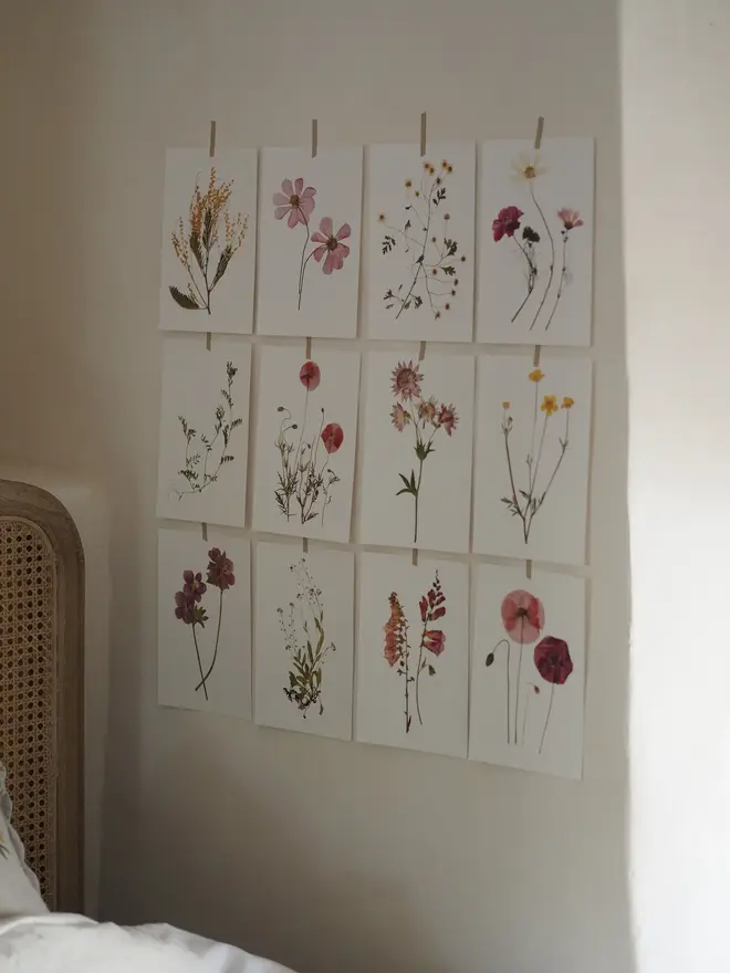 Pressed Wildflower Herbarium Print Collection (Set Of 12), a collection of flowery prints sitting hung up on a wall. 