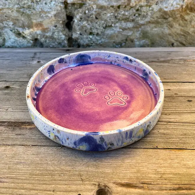 Shoreline Cat Bowl, a colourful cat bowl placed on a wooden surface against a brick backdrop. 