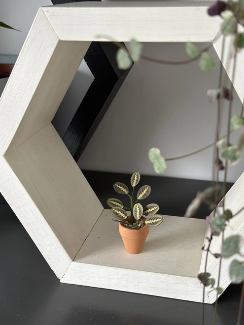A miniature replica Maranta Prayer Plant paper plant ornament in a terracotta pot sat in a white hexagonal box shelf on a grey shelf with a real plant in the foreground