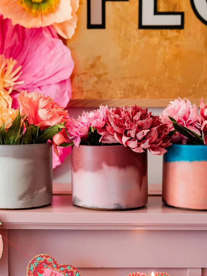 Concrete colourful planter