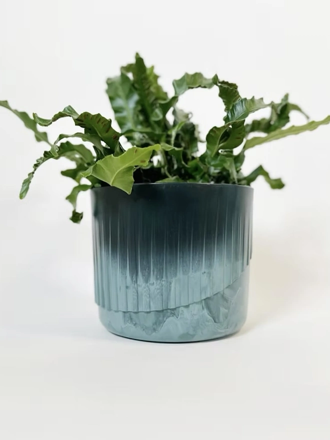 Ocean Plastic Plant Pot Medium, a recycled blue plant pot sitting on a plain surface against a white backdrop. It is accompanied by some plants. 