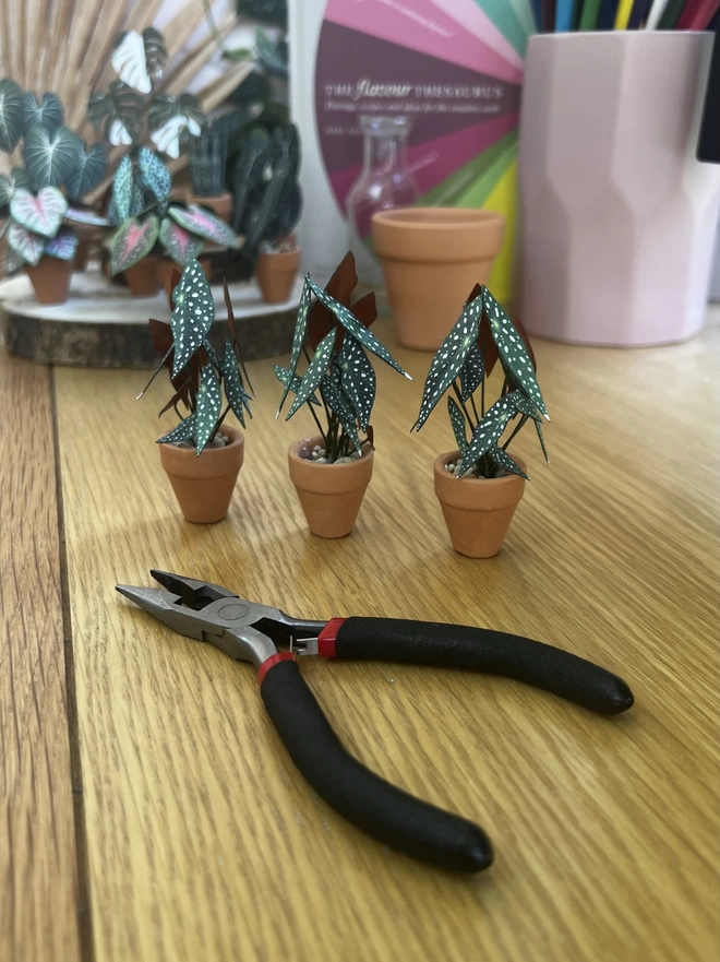 Three Begonia Maculata paper plants sat on a wooden desk with a pair of pliers in front of them and some other paper plants, a book and a pencil pot in the background