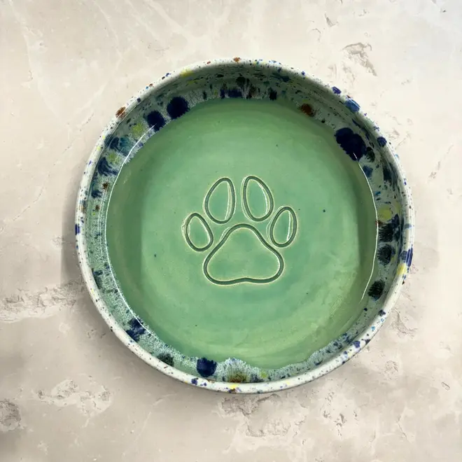 Shoreline Dog Bowl a colourful dog bowl placed on a stone surface. 
