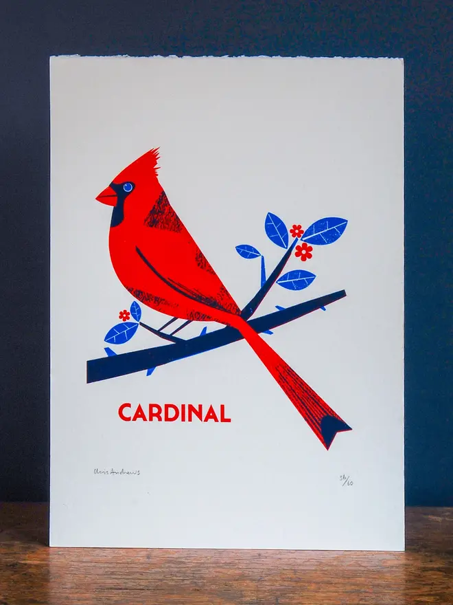 illustrated cardinal print. illustration of red cardinal bird propped up against navy blue wall background.
