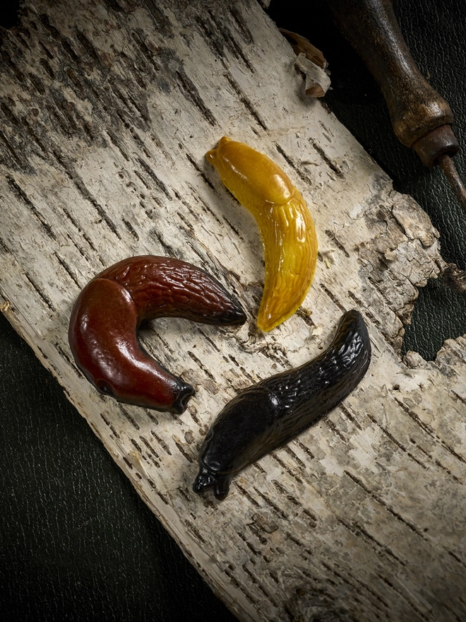 Solid chocolate slugs in various slimy poses on bark