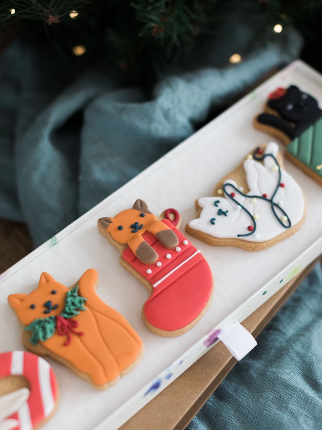 Christmas cat biscuit gift 