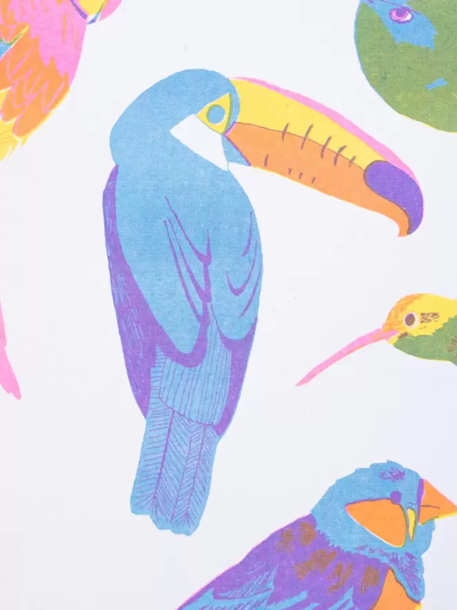 Close-up, detailed shot: blue colourful toucan 