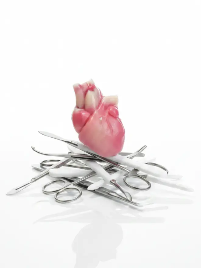 HUMAN HEART CANDLE