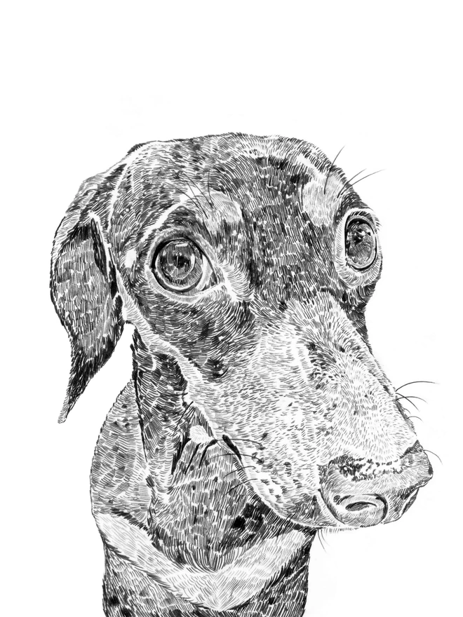 Detail of dachshund art print