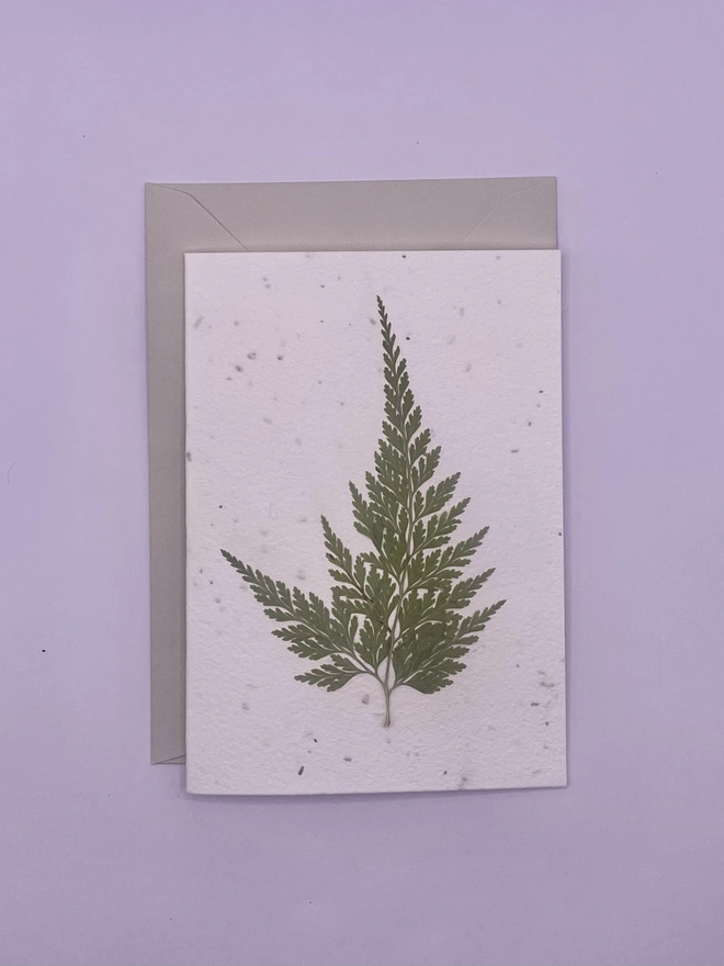 Real Pressed Flower Plantable Card, Fern