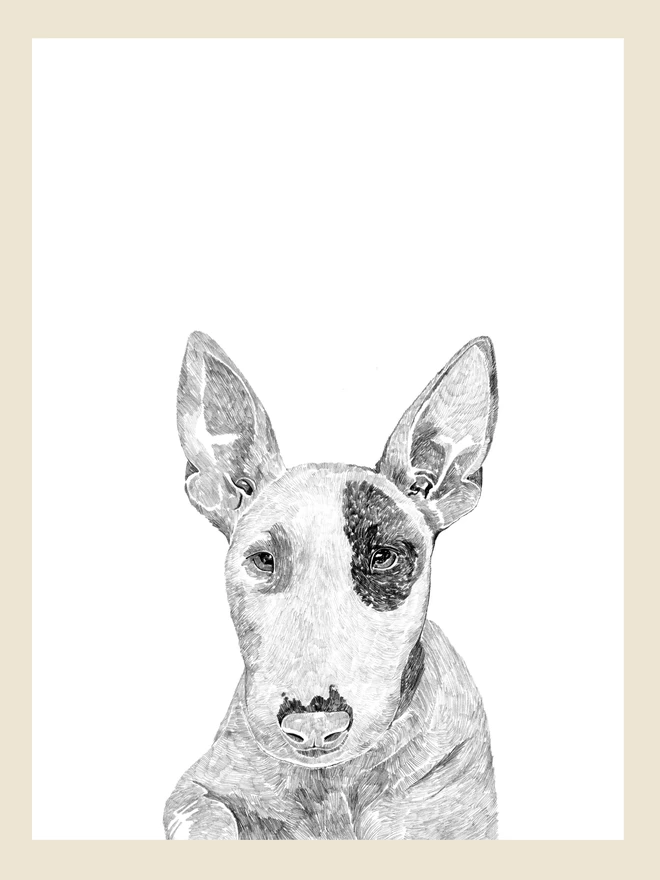 Artwork of bull terrier dog art print