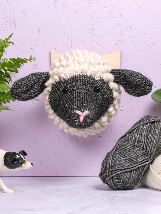 Mini Shropshire Sheep Head Knitting Kit. A sheep head, knitted, on a wall.