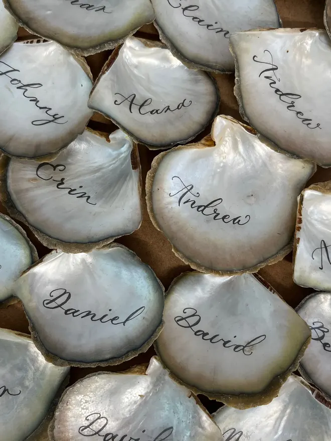 oyster shell place cards for weddings