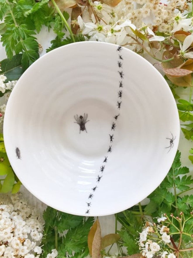 Insect bowl