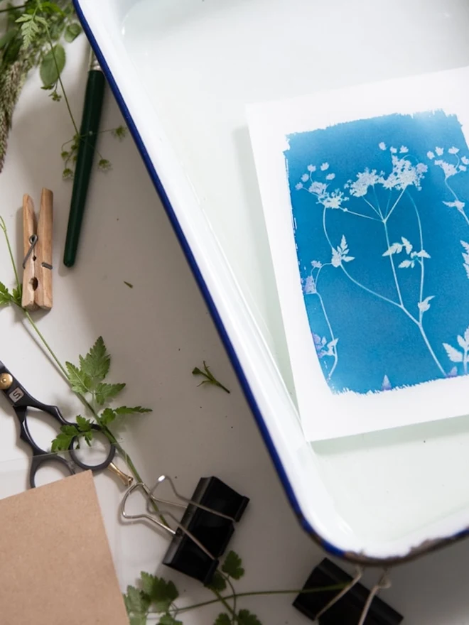 A6 Cyanotype Paper To Create Beautiful Prints With Sunlight