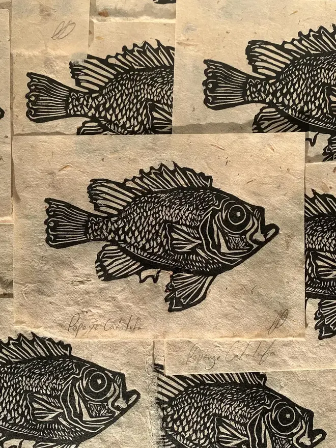 Lino Print Popeye Catalufa Fish On Handmade Paper