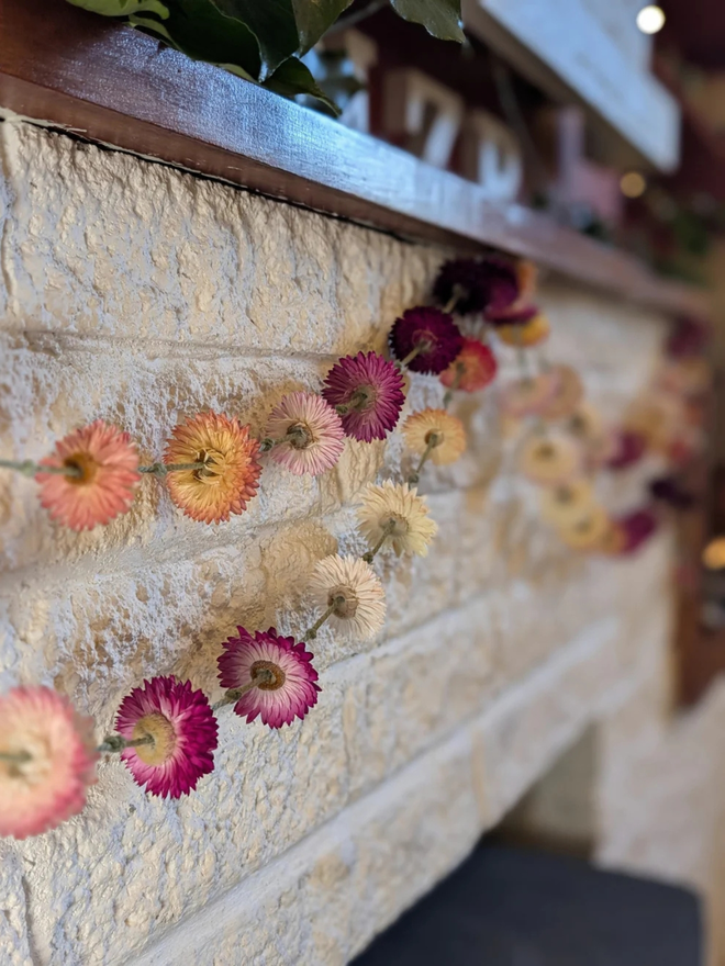 rainbow dried flower garland. yellow, pink and orange dried flower garland hung against white brick wall.