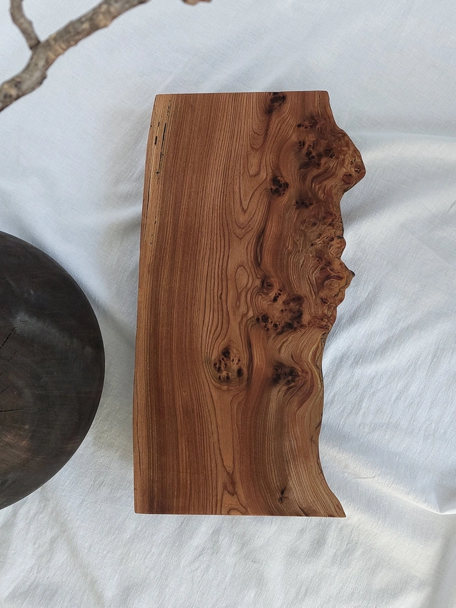 Live-Edge Elm Serving Board with Retro Birchwood Legs