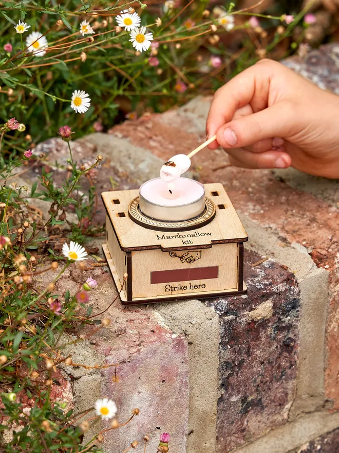 Personalised Mini Marshmallow Toasting Kit 