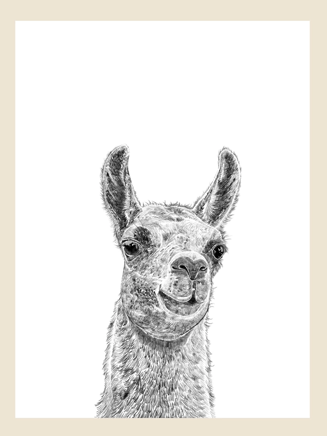 Artwork of hand drawn llama art print