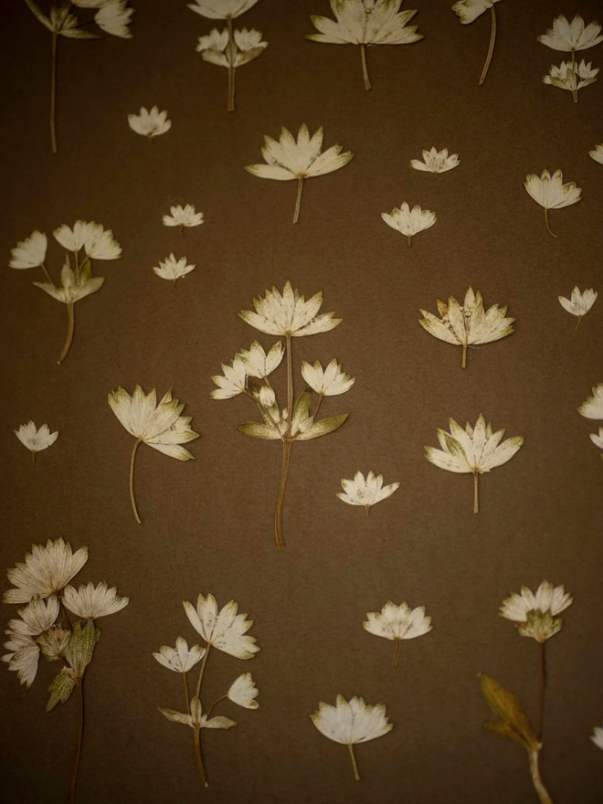 pressed wildflower print