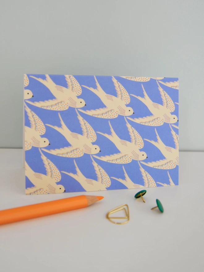 Birds Illustrated Notecard Pack