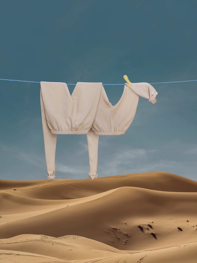 Original print Camella the camel hung on a clothes line in the dessert