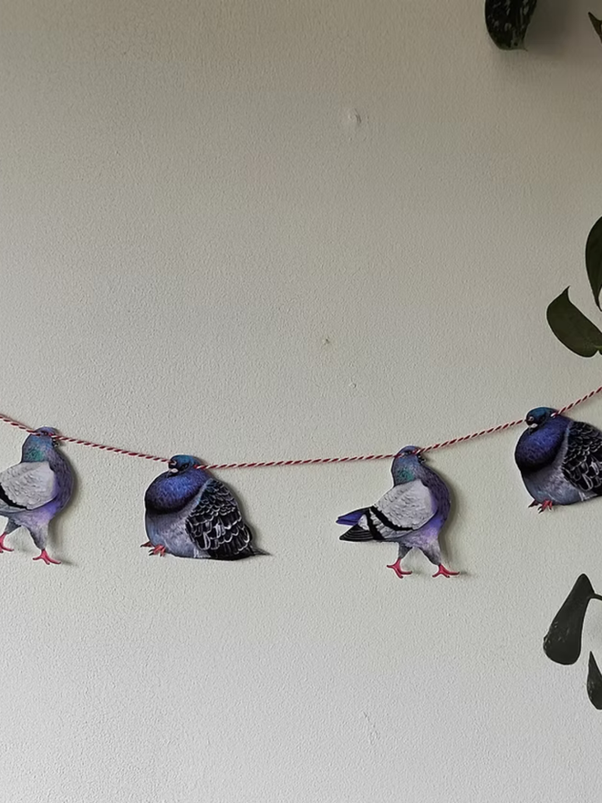 illustrated pigeon garland. pigeons on bunting hung on a wall.