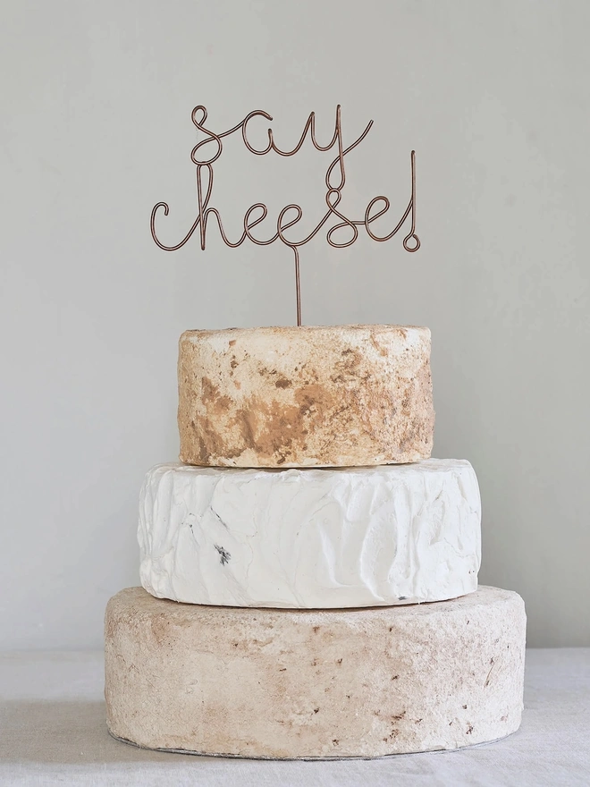 'Say Cheese!' Wedding Cheese Cake Topper