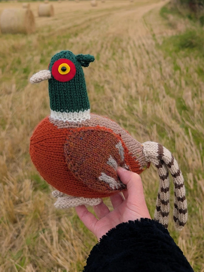 a knitted pheasant being held out with a farmers hay field in the background