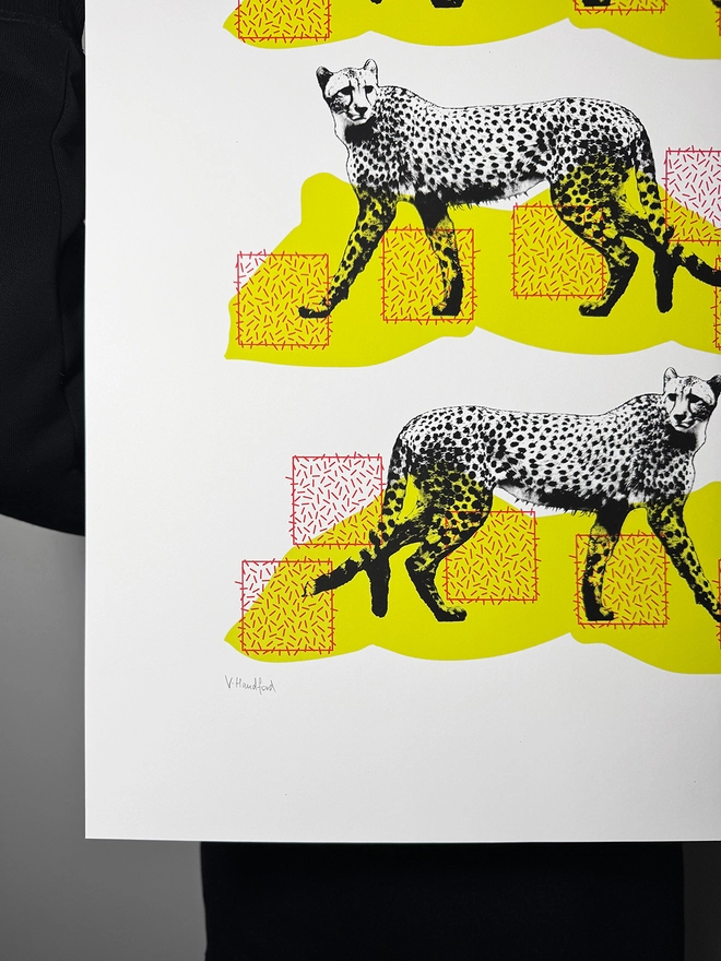 A Coalition of Cheetahs - Screen Printed Poster - hand signed