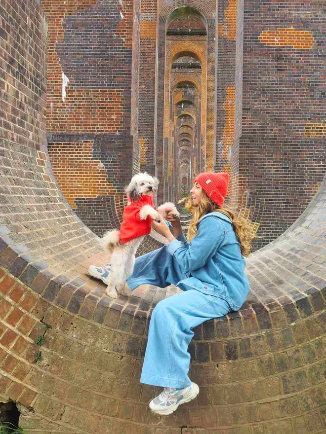 lava orange dog jumper and matching beanie