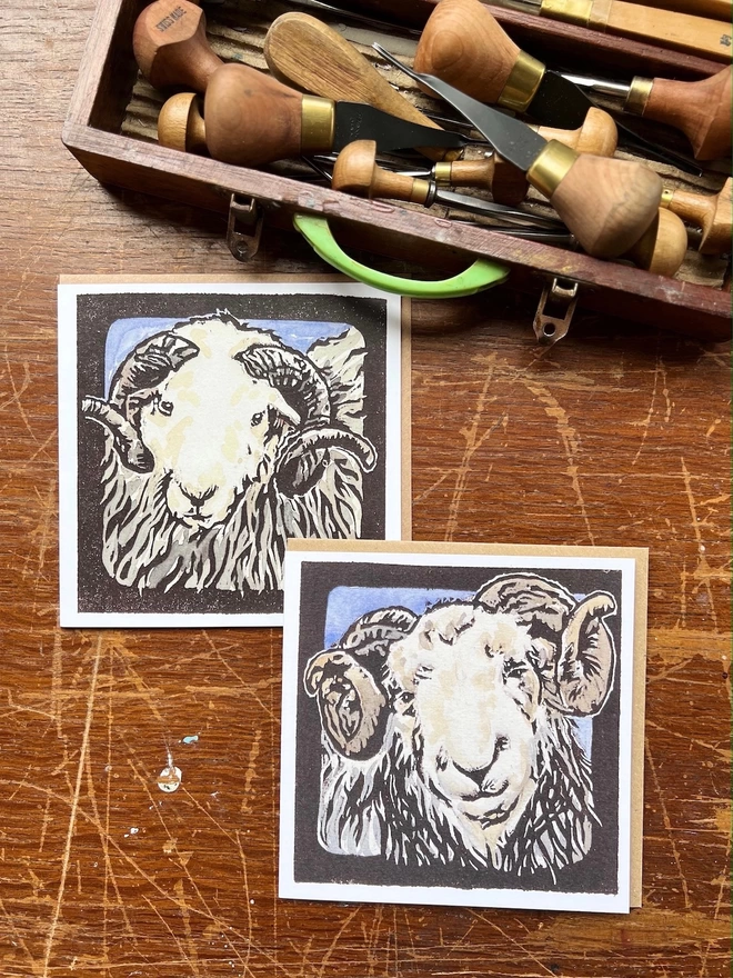 two herdwick sheep cards