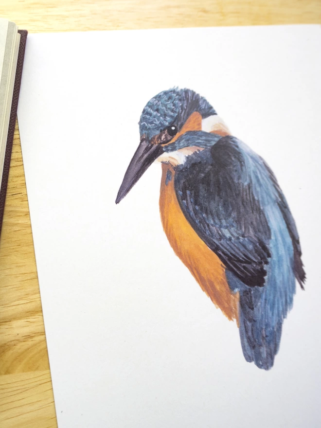 a print featuring an illustration of a kingfisher