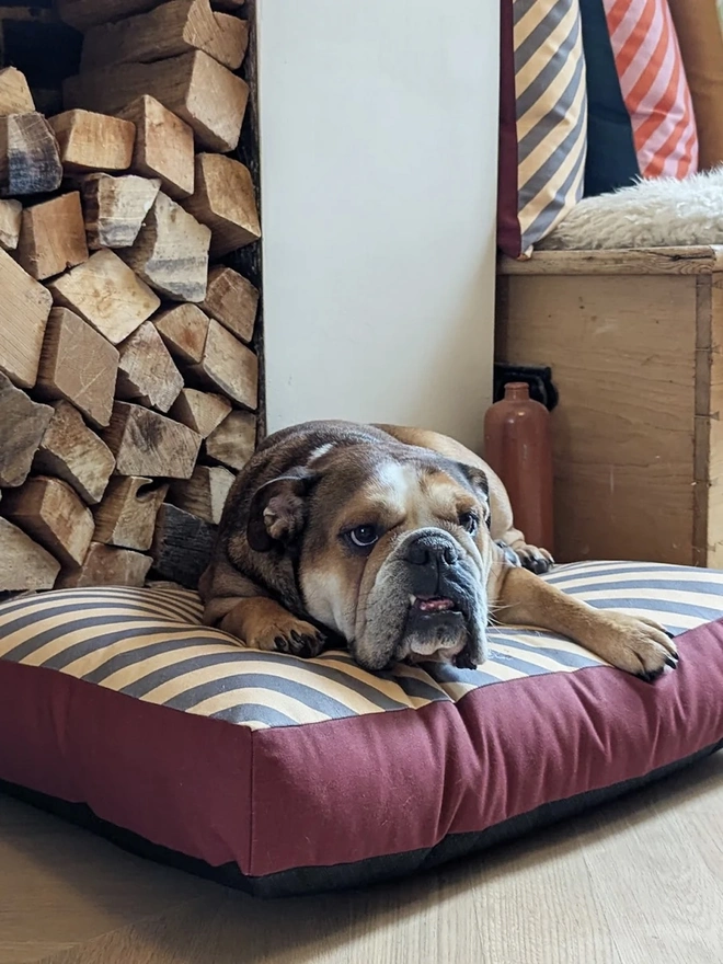  Printed Cotton Patterned Dog Bed, a dog sitting on a patterned dog bed on a wooden floor. 