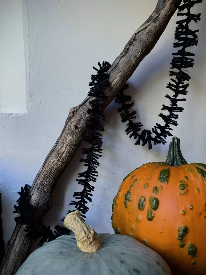 Close up of an orange and a green pumpkin with black jute Spider Leg Strinsel (string tinsel) hanging off a dead branch against a white background